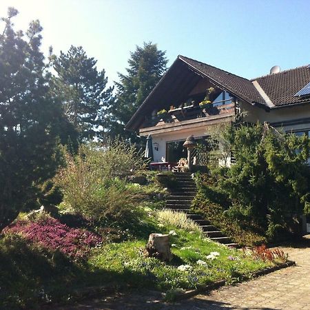 Haus Bella Appartement Löffingen Buitenkant foto